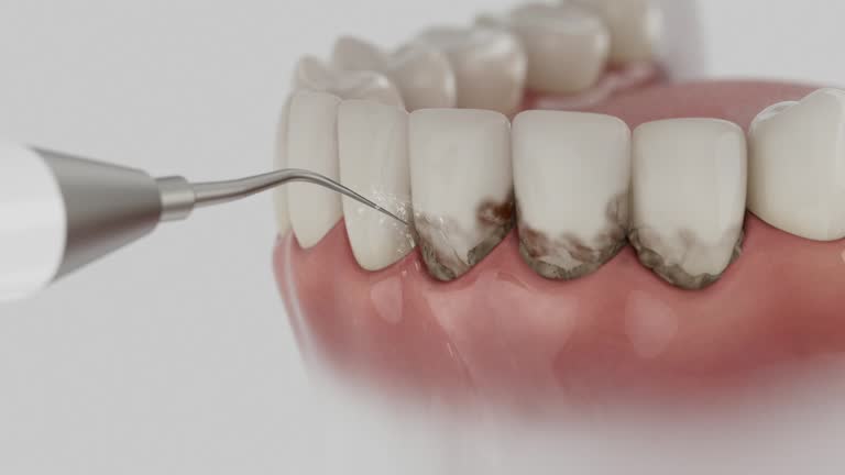 Trusted Teeth Cleaning And Checkup service in Grandy, NC - Dentist Open Now